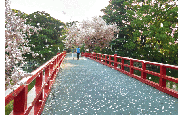 blenderで桜を作成し、何気ない風景写真の中にphotoshopで桜を合成